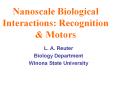 Nanoscale Biological Interactions: Recognition & Motors L