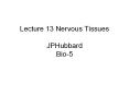 Lecture 13 Nervous Tissues JPHubbard Bio-5 * * * * * * * * 