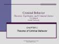 Criminal Behavior Theories, Typologies, and Criminal Justic