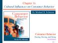 Chapter 16 Cultural Influences on Consumer Behavior B