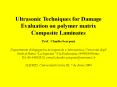 Ultrasonic Techniques for Damage Evaluation on polyme