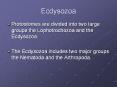 Ecdysozoa Protostomes are divided into two large groups th