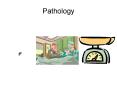 Pathology Pathology Autopsy In actual dissection of body