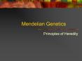 Mendelian Genetics Principles of Heredity 4. Law o