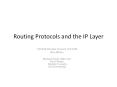 Routing Protocols and the IP Layer CS244A Review Sessio