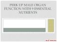 Perk up Male Organ Function with 9 Essential Nutrients