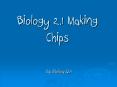 Biology 2.1 Making Chips By: Biology 12A What was th