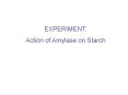 EXPERIMENT: Action of Amylase on Starch A B C D E F G Add 1