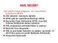 XML NED R? XML platformdan ba  ms z veri ta  yabilen 