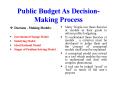 Public Budget As Decision-Making Process Decision - Makin