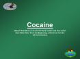 Cocaine (Select Slide Show on the PowerPoint toolbar an