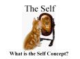 The Self What is the Self Concept? BODY IMAGE Is there a