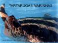 TARTARUGAS MARINHAS M RCIA ELISA LIMA ALVES TARTARUGA