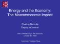 Energy and the Economy: The Macroeconomic Impact Shelto