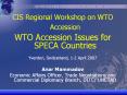 CIS Regional Workshop on WTO Accession WTO Accession Issue
