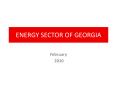 ENERGY SECTOR OF GEORGIA February 2010 Regional Energy Hub 