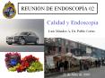 REUNI N DE ENDOSCOP A 02 Calidad y Endoscop a Luis M ndez A
