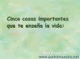 Cinco cosas importantes que te ense a la vida: 1.- L