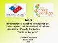Taller  Introducci n al Taller de habilidades de crianz