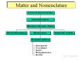 Matter and Nomenclature Test Etiquette The Discovery o
