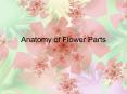 Anatomy of Flower Parts The flower consists of man