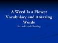 A Weed Is a Flower Vocabulary and Amazing Words Second Grad