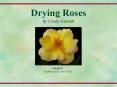 Drying Roses by Cindy Garrett Sunglow Miniflora from Whi