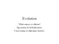 What causes evolution? Speciation & hybridization