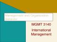 Management and Organization Behavior MGMT 3140 Internationa