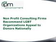Non Profit Consulting Firms Recommend LGBT Organizations Appeal to Donors Nationally