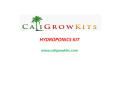 Caligrowkits - Grow Kits