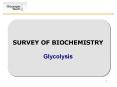 SURVEY OF BIOCHEMISTRY Glycolysis * * * * * * * * * * * * 