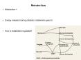 Energy Production in Glycolysis Figure 4-15 Anaerobic vs