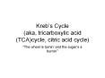 Kreb s Cycle (aka, tricarboxylic acid (TCA)cycle, citri