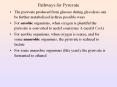 Pathways for Pyruvate The pyruvate produced from glucos