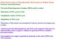 Citric Acid cycle or Tricarboxylic Acid cycle or Krebs Cycl
