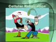 Cellular Respiration Item Activities that the item doe