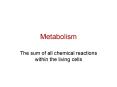 Metabolism The sum of all chemical reactions within th