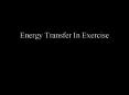 Energy Transfer In Exercise Immediate Energy ATP-PCr Syste
