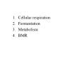 Cellular respiration Fermentation Metabolism BM