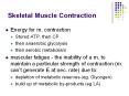 Skeletal Muscle Contraction Energy for m. contraction Store