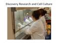 Discovery Research and Cell Culture * * Live Cell Coun