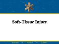 Soft-Tissue Injury Sections Introduction to Soft Tissu
