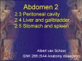 Abdomen 2 2.3 Peritoneal cavity 2.4 Liver and gallbladde