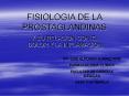 fisiologia de la prostaglandinas y su relacion con el dolo