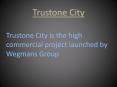 Trustone City ppt