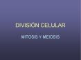divisi n celular mitosis y meiosis ciclo celular per odo g