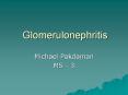 Glomerulonephritis Michael Pakdaman MS - 3 Glomerulus 