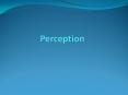 What Are Perceptions? Cognitive interpretations of people