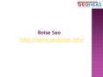 Boise Search Engine Optimization
